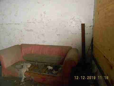 5529 Joy 2nd trip (17)_m.jpg